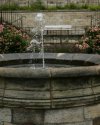 11 Brunnen mit Rosen